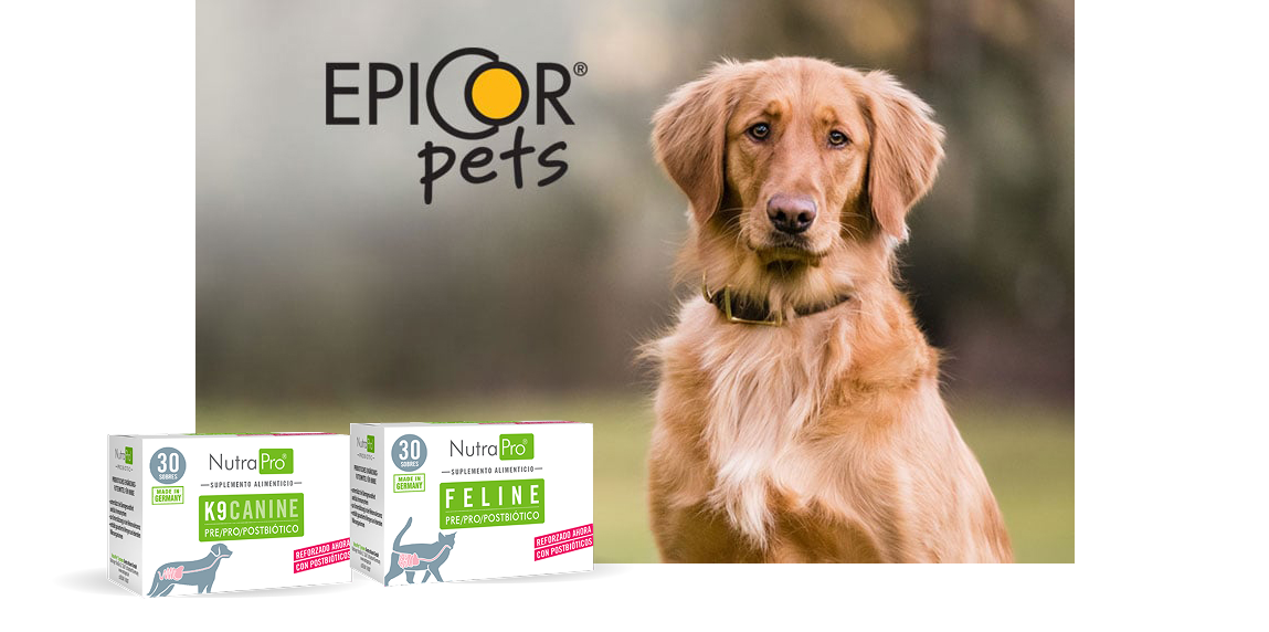 Epicor Pets