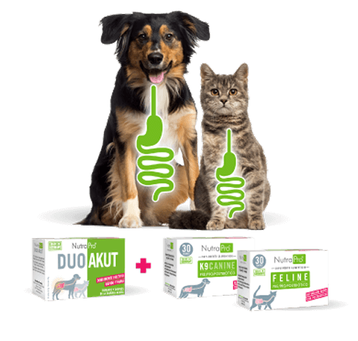 NutraPro DuoAkut + K9Canine Feline