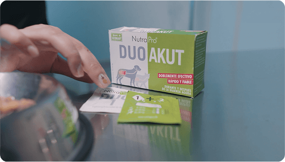 Cómo funciona
          DuoAkut